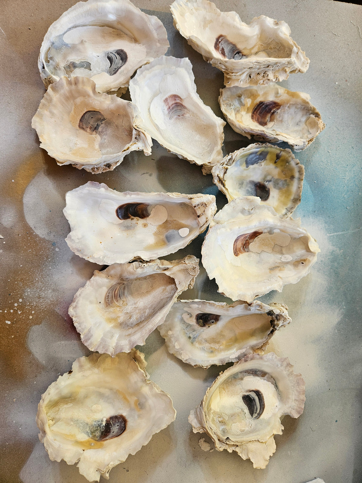 Reserved for Cassie 12 Large Oyster cups
