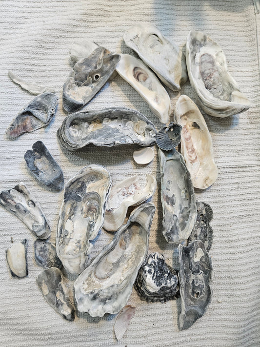 Oyster Shell Craft Mix