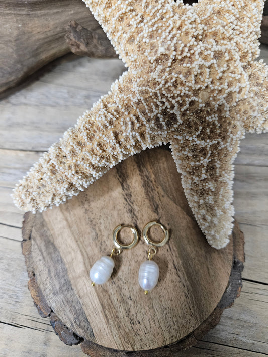 Pearl Earrings-White Freshwater Pearl Huggie Gold Earrings